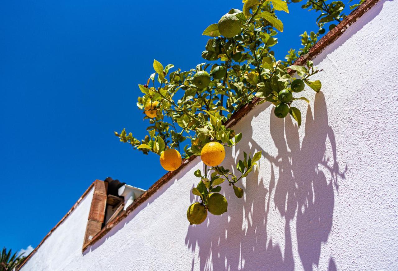Villa Yanna Benalmádena Exterior photo